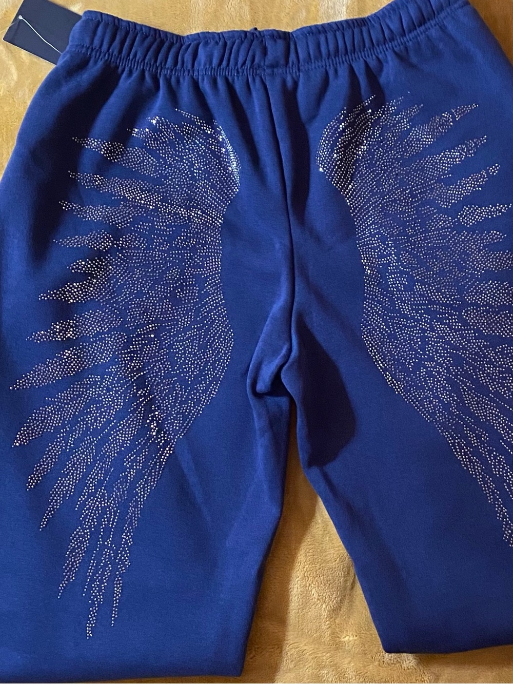 NEW Sparkle Wing Sweatpants - Blue